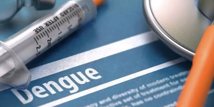 Vacuna contra el dengue: OMS recomienda su aplicación para evitar casos graves