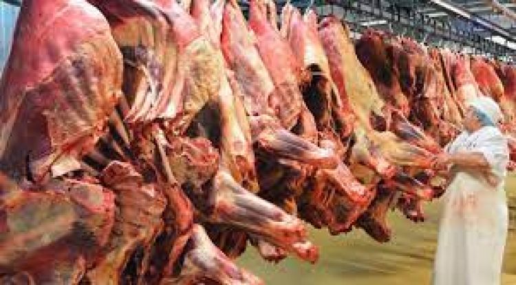 En los primeros tres meses del año, Paraguay exportó carne bovina por US$ 357 millones