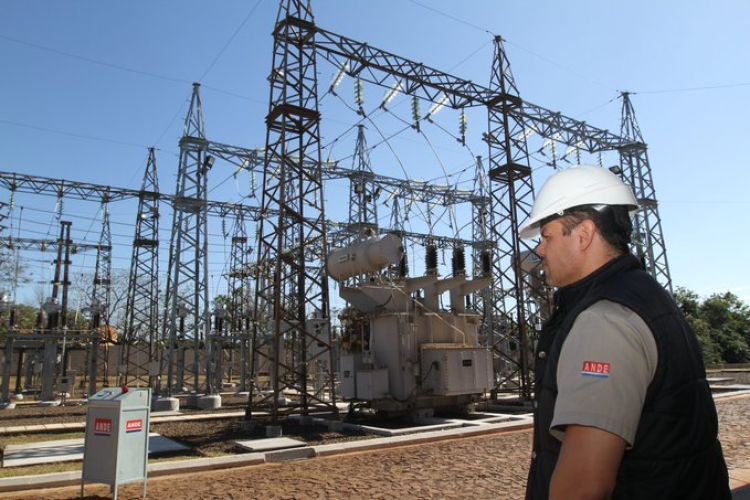 ANDE realizó mantenimiento a más de 290 alimentadores en 2021