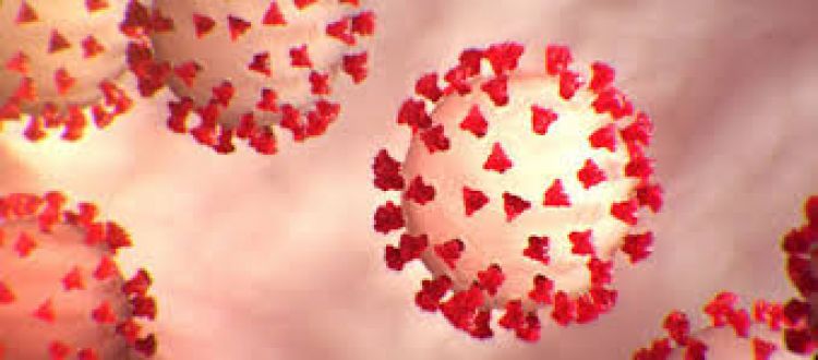 Salud reporta una muerte y 24 nuevos contagios de Covid-19