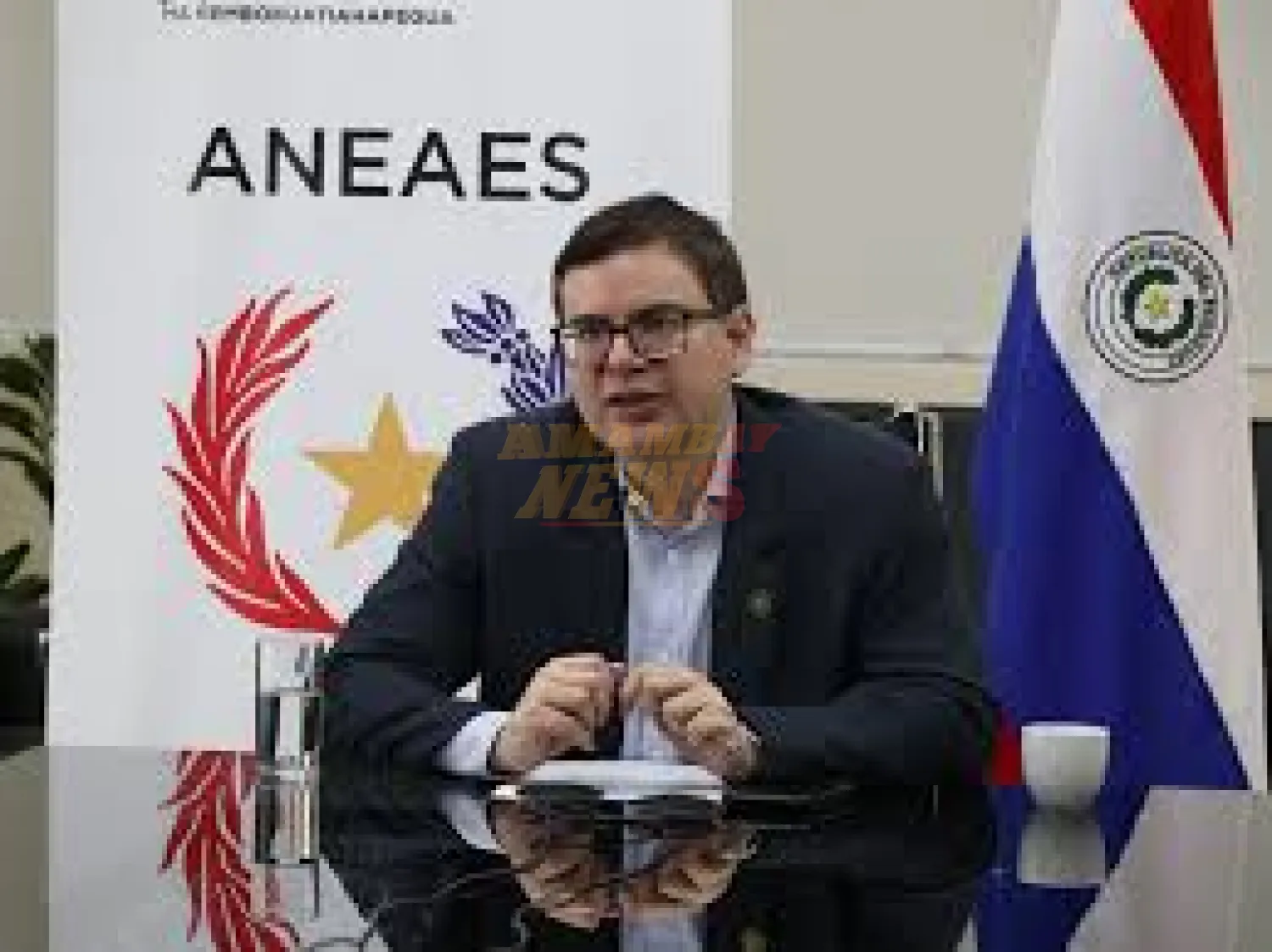 Director de la ANEAES suma críticas por alabar al stronismo