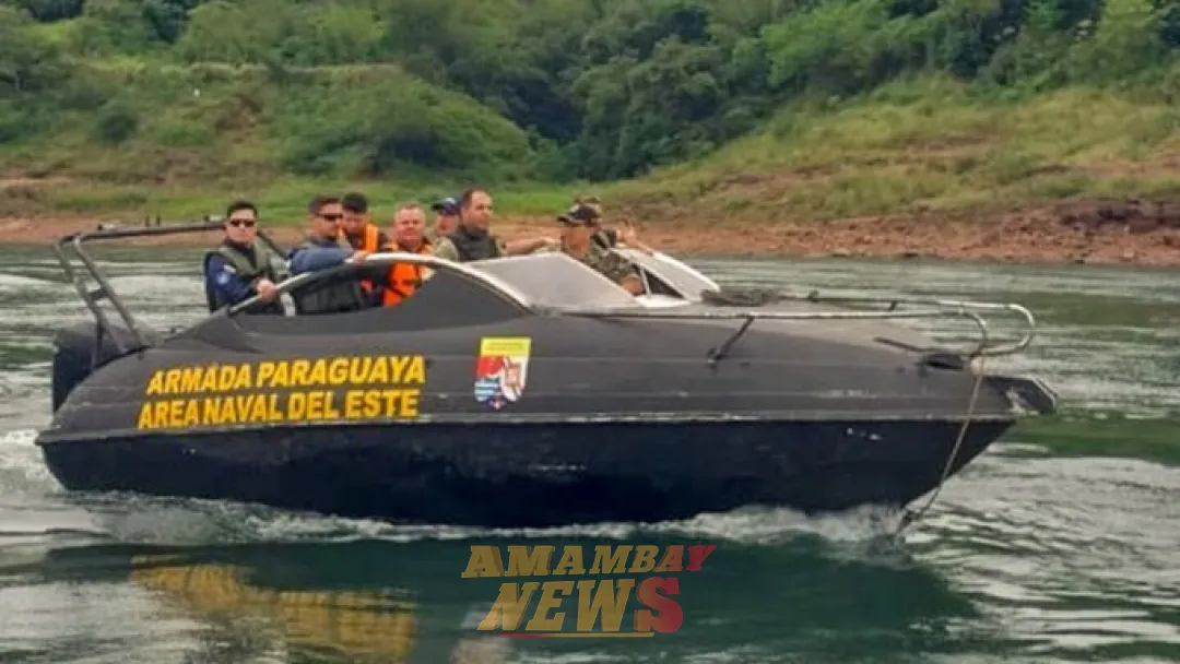 Emplean operativo para combatir delitos forestales en Alto Paraná