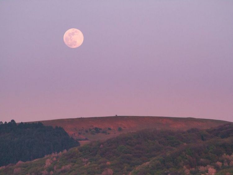 ¿Cuándo y dónde ver la luna rosa?