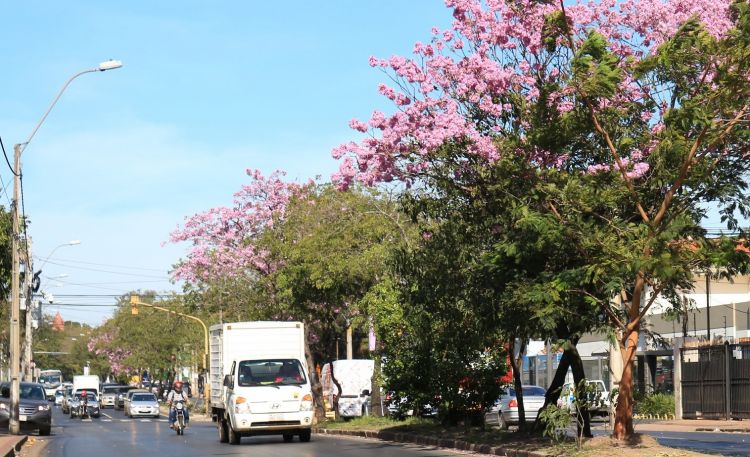 Miércoles fresco a cálido y con mucha humedad