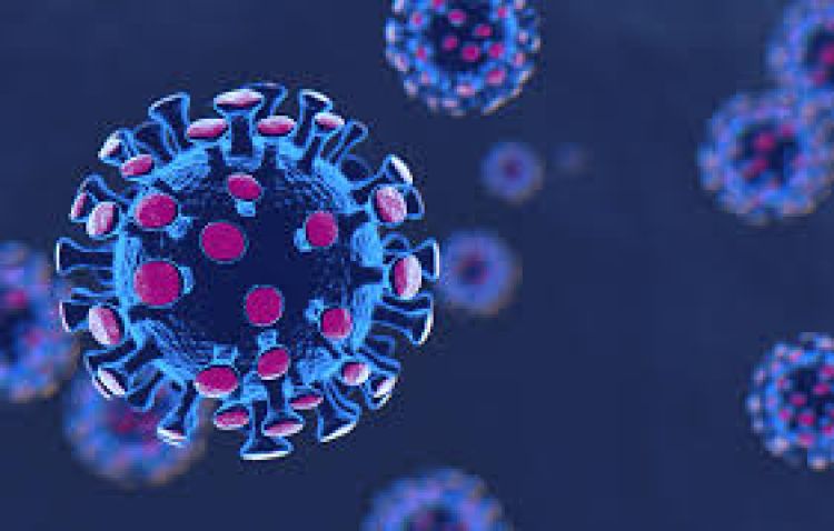Salud registra 38 contagios y 1 muerte por Covid-19