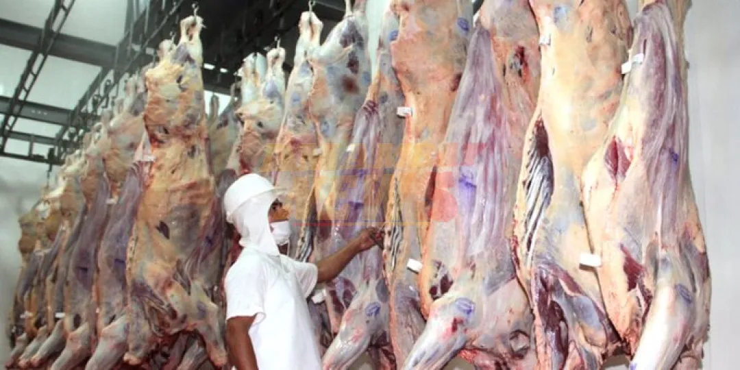 Paraguay logra récord de exportación de carne bovina en el 2024
