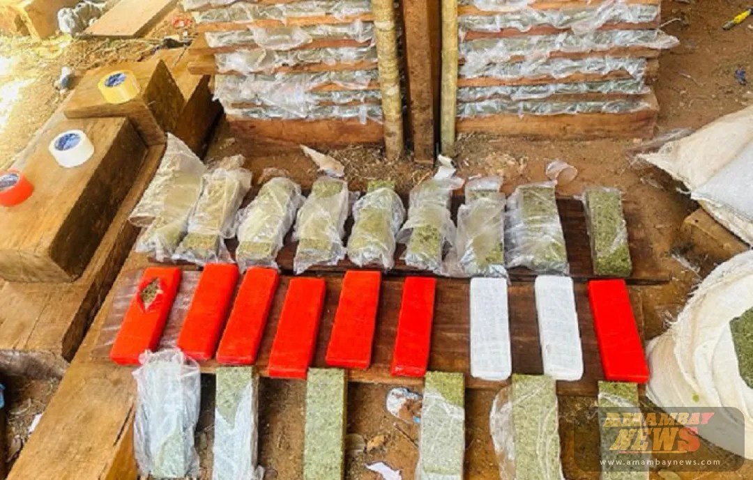 Destruyen cerca de 1.400 kilos de marihuana tras allanamiento en Maracaná