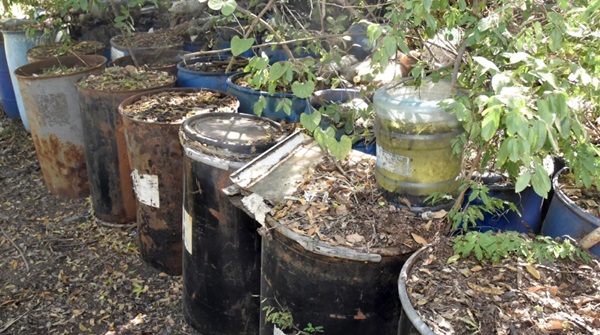 Grave contaminación por toneladas de pilas en descomposición
