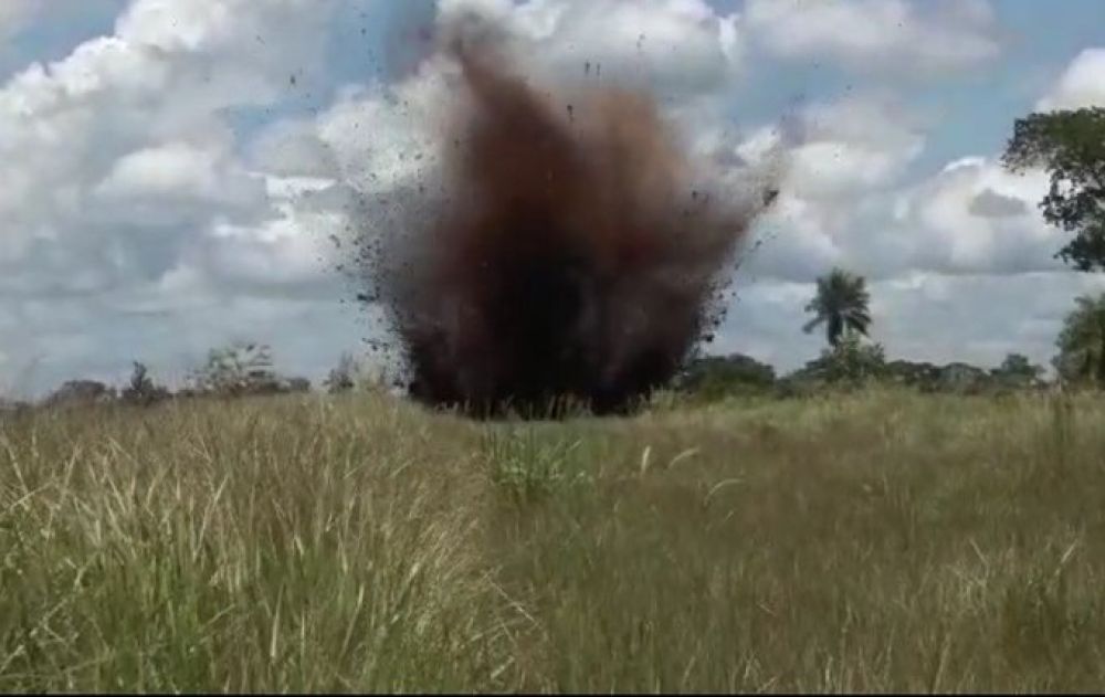 Destruyen pistas clandestinas en el parque nacional Paso Bravo