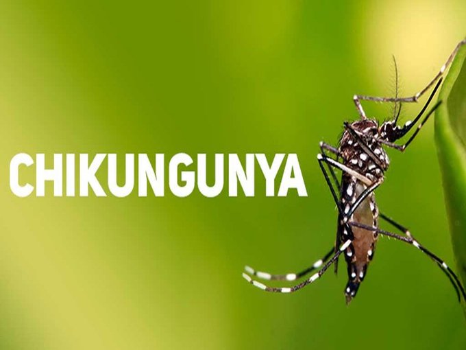 Alimentación e hidratación, claves para recuperarse de chikungunya