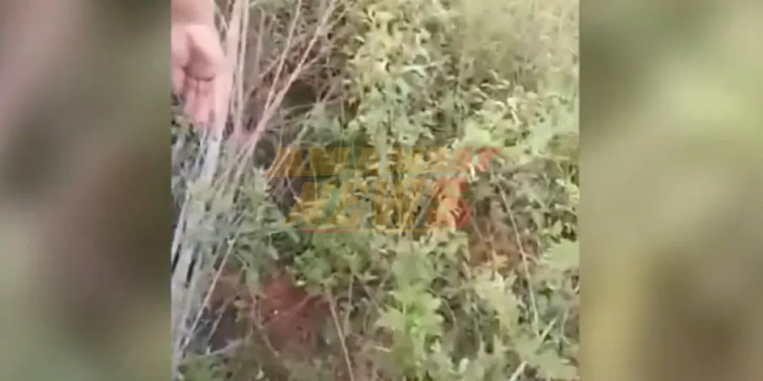 Detienen a sospechoso de la muerte de adolescente