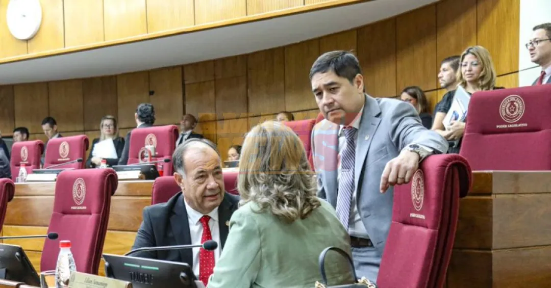 La disidencia negocia con nueve senadores para armar un bloque que confronte con el cartismo