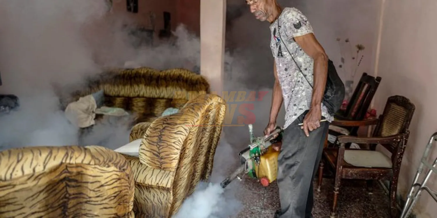 Epidemia de chikungunya azota Cuba: reportan más de 47.000 casos en una semana