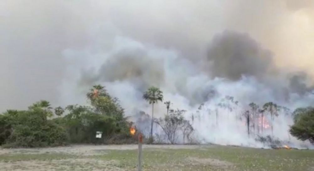 Fuego en el Chaco: 120 mil hectáreas arrasadas y estancias incendiadas