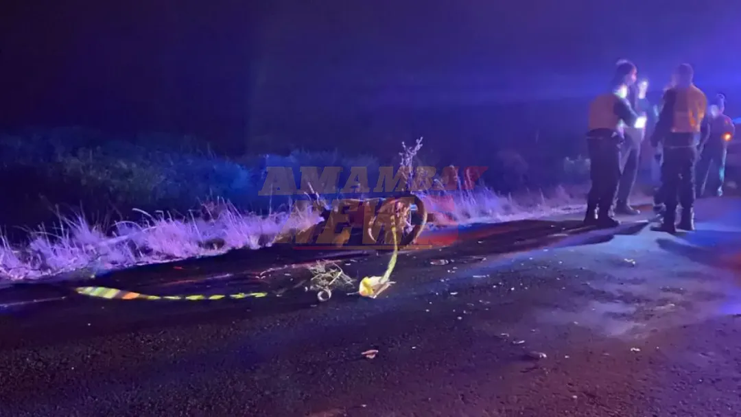 Misiones: Joven muere tras chocar a una vaca suelta sobre la ruta