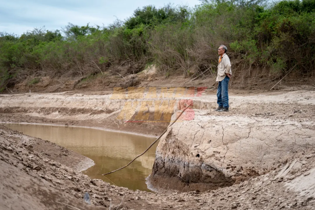 Premio Nacional de Periodismo Ambiental: anuncian a los finalistas de la segunda edición
