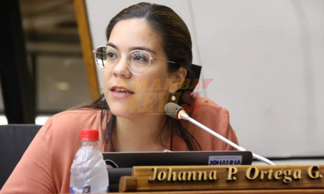 Peña muestra un país que solo existe en su imaginación, dice diputada
