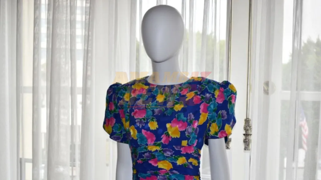 Subastan en 520 mil dólares el vestido solidario de la princesa Diana