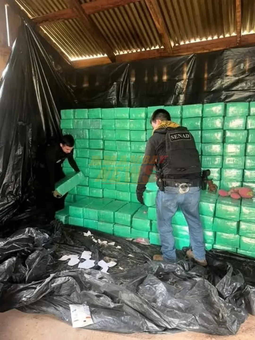 SENAD desmantela complejo de producción de marihuana a gran escala en Villa Ygatimí