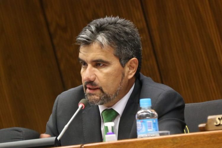 Diputado liberal afirma que es bolaterapia que Argentina y Brasil tengan que decidir