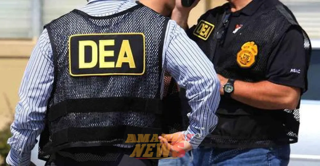 Piden informes sobre convenios firmados con la DEA