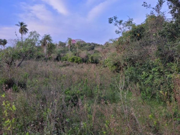 Asaltaron una vivienda y se llevaron a un chico de 14 años, quien sigue con paradero desconocido