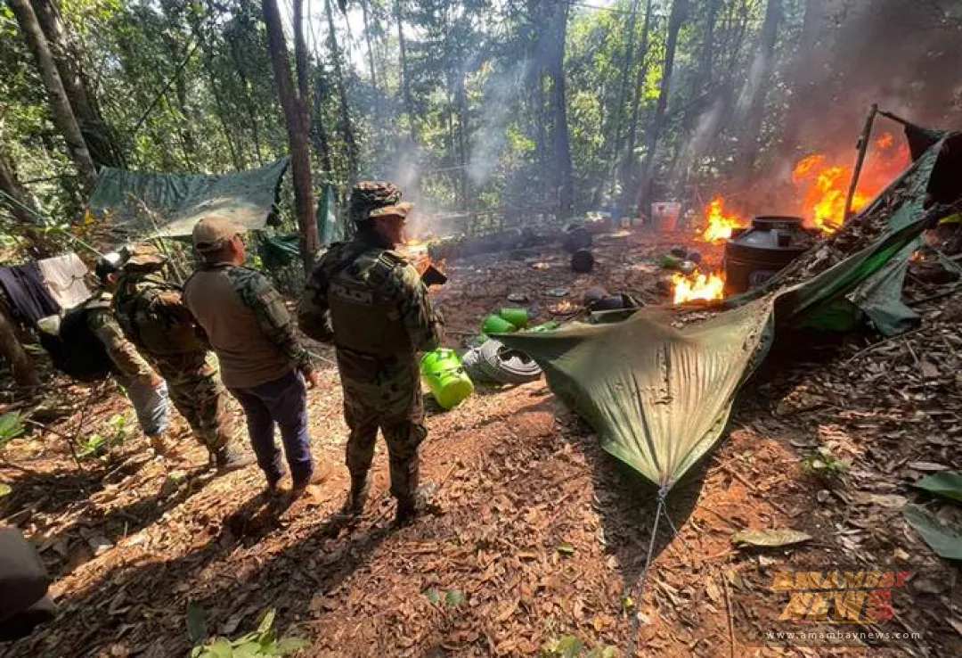 Bolivia: Destruyen dos megalabolatorios que purificaban hasta 200 kilos de cocaína al día