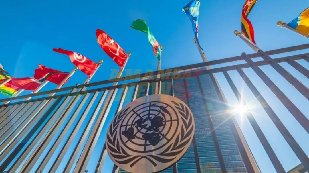 ONU recortará 20% de su presupuesto y eliminará casi siete mil empleos por crisis financiera
