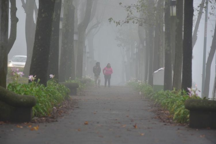 Domingo gris con bajas temperaturas, anuncia Meteorología