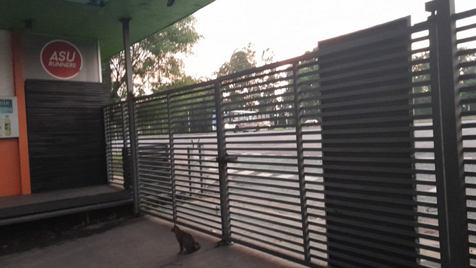 Parque Ñu Guasú: portones estarán cerrados temporalmente por problemas del sistema eléctrico