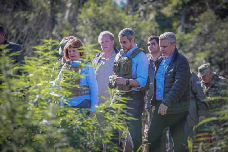 Paraguay estudia la posibilidad de producir marihuana para exportación