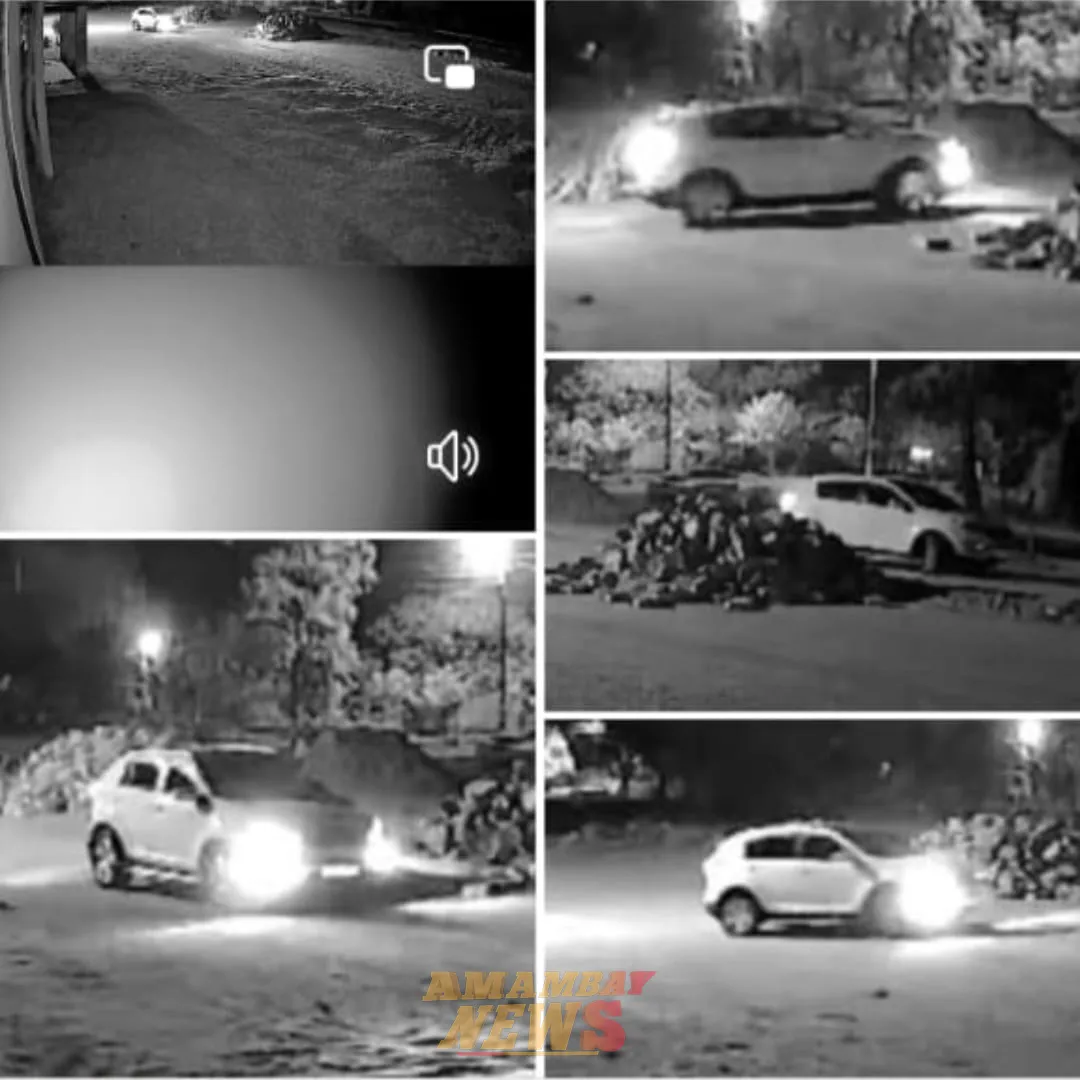 VIDEO: Roban adoquines y sospechan del sobrino de la presidenta de la Junta Municipal de Bella Vista Norte