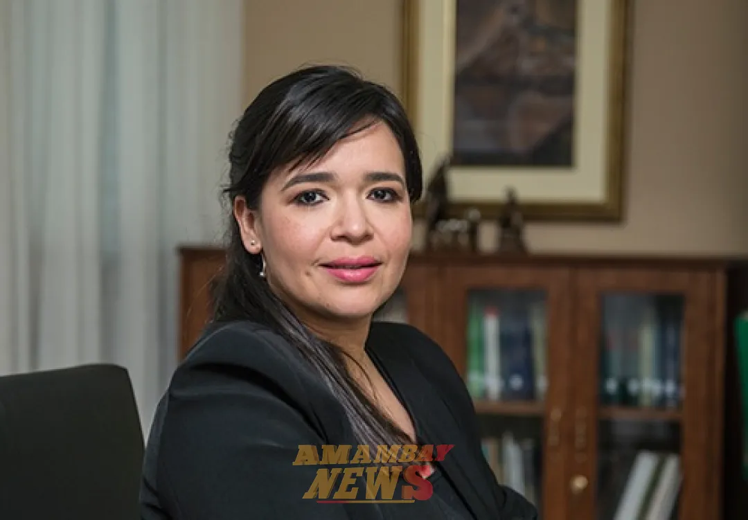 Pericias dan como “consistente” relato de niña que habría sido abusada, dice querella