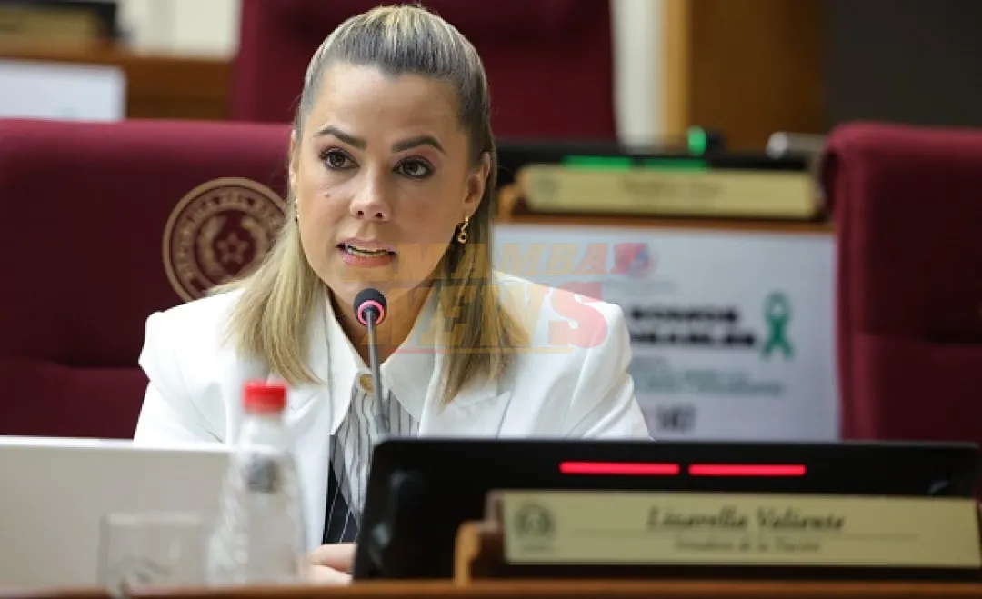 Senadores se enfrentan por creación de nueva universidad privada