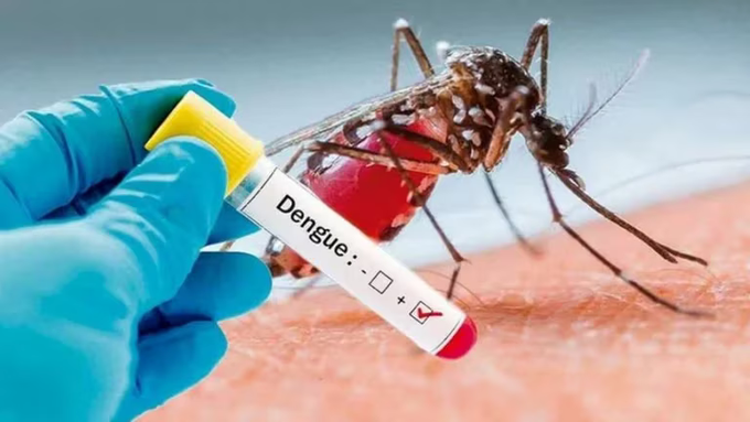 Ya son casi 300.000 notificaciones de dengue en lo que va del año