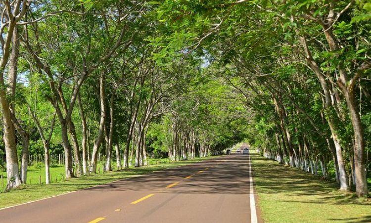 Santa Elena, reconocida como una de las ciudades más limpias del país