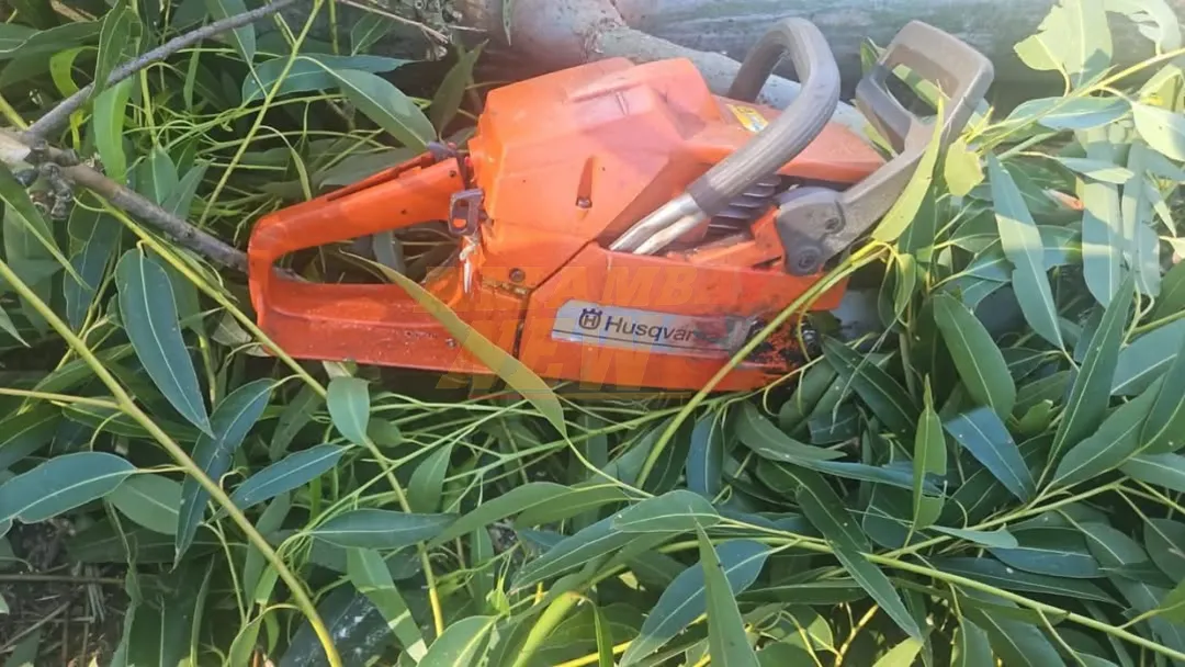 Operador de motosierra muere trabajando en construcción de ruta en Itapúa