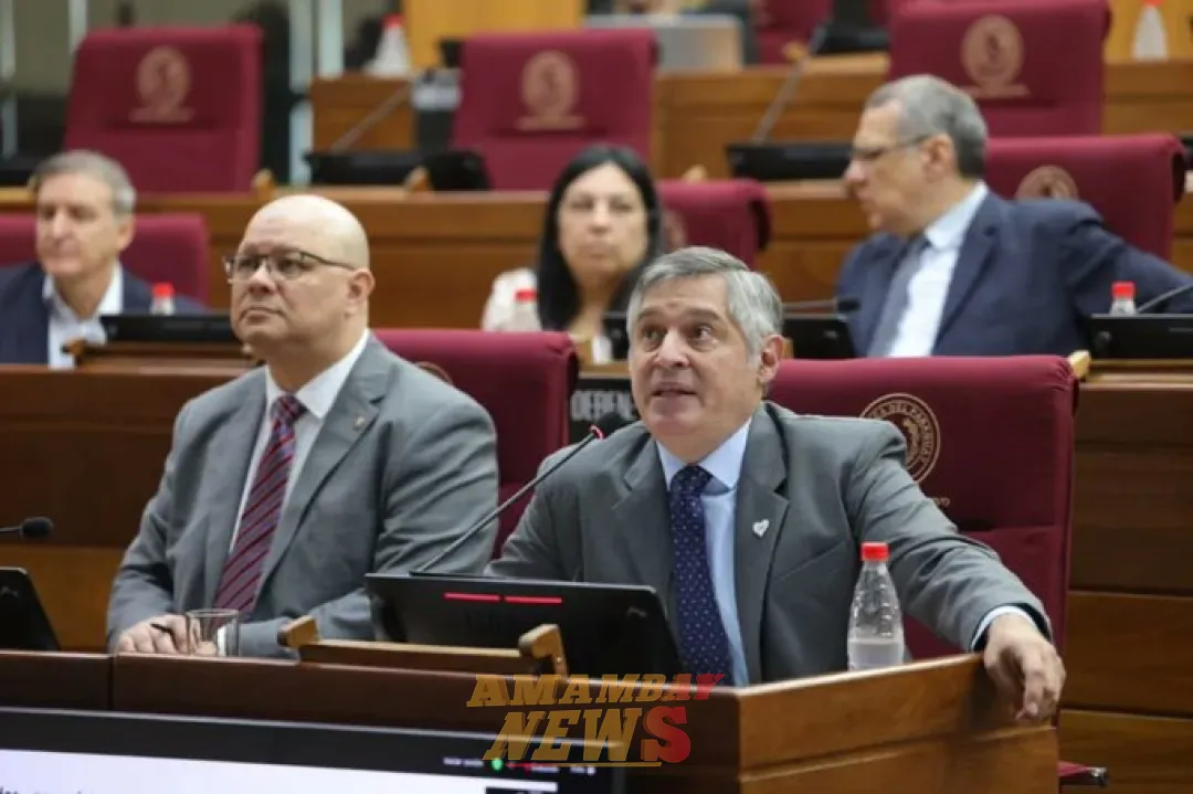 MEC pide al Congreso la aprobación de préstamo para edificar 316 escuelas