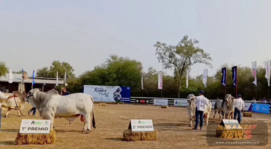 Exitosa edición 2024 de la Expo Rodeo Trébol