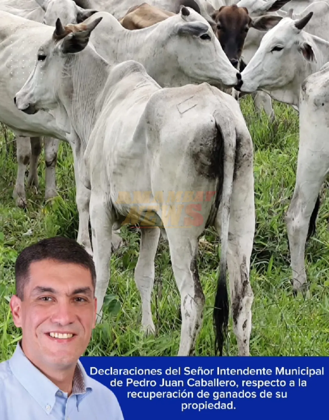 AUDIO: Intendente reconoció buen trabajo de policías y fiscalía en caso robo de animales