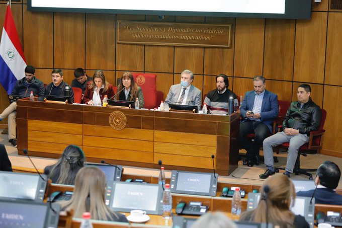 Bloque opositor del Senado pedirá postergación sine die sobre fusión SET-DNA
