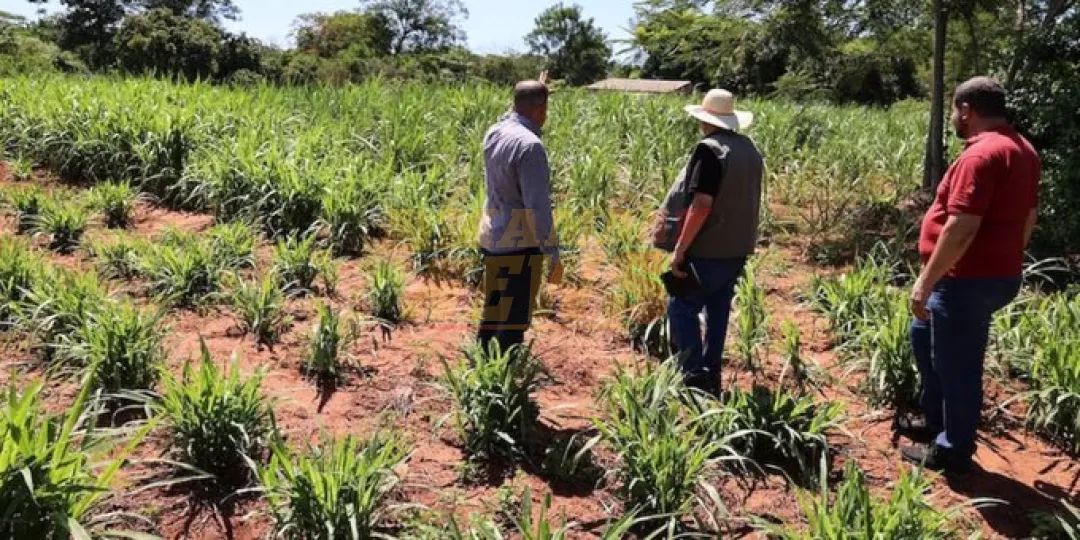 Indert: restablecen criterios de titulación y reivindican derechos