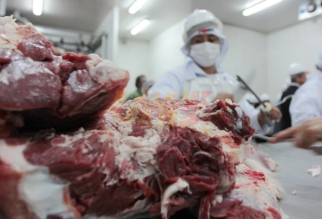 Paraguay envió cerca de 250 millones de kilos de carne bovina al exterior en lo que va del año