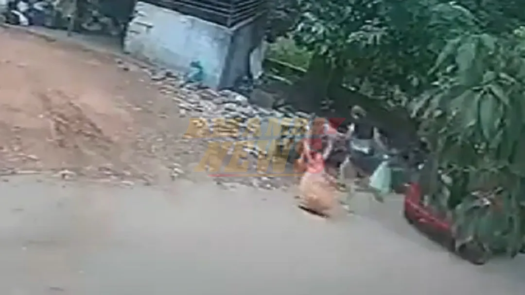 Macabro hallazgo de un recolector de basura en Fernando de la Mora