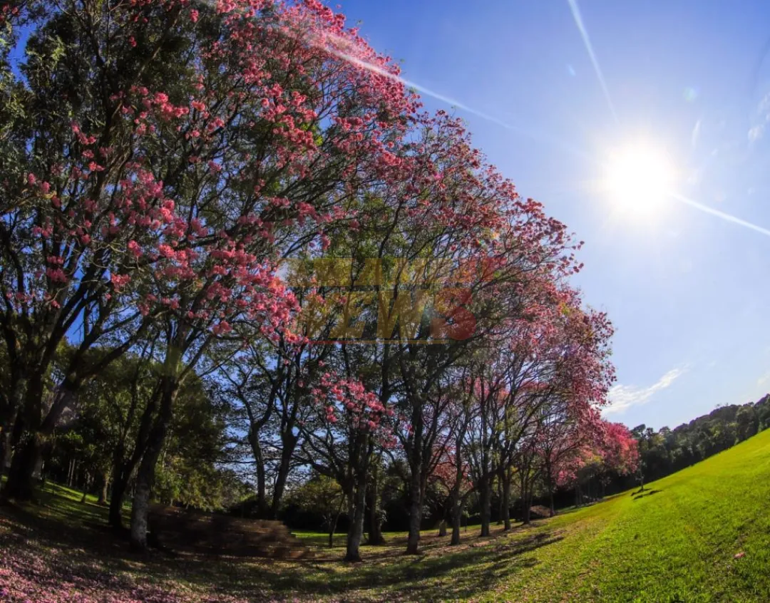 Sábado con ambiente cálido a caluroso a nivel país