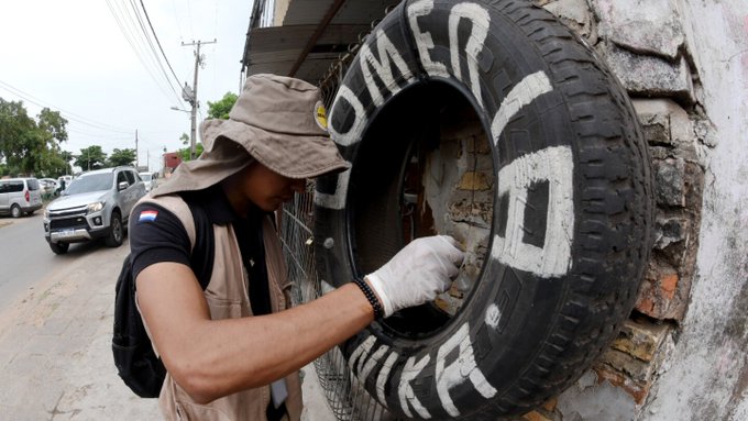 “El dengue es un grave problema social y para la economía del país”