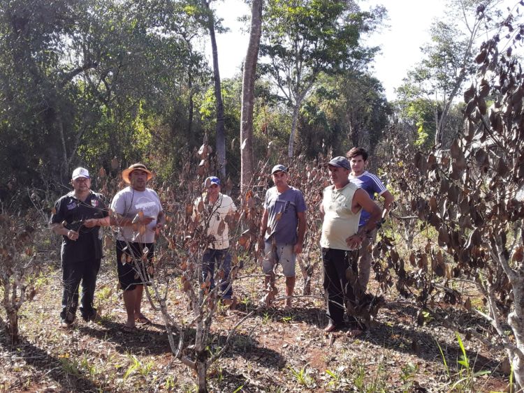 Prevén desabastecimiento y aumento del precio de la yerba mate a raiz de la sequía