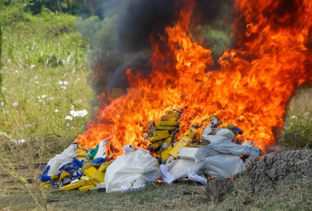 Incineran más de 400 kilos de cocaína, valuados en unos USD 13 millones en el mercado europeo