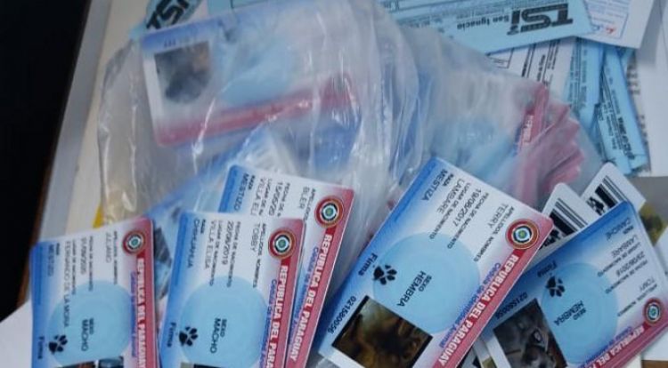 Allanan local que elaboraba cédula para mascotas