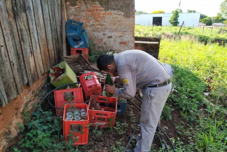 Reportan notificaciones de dengue en todos los departamentos